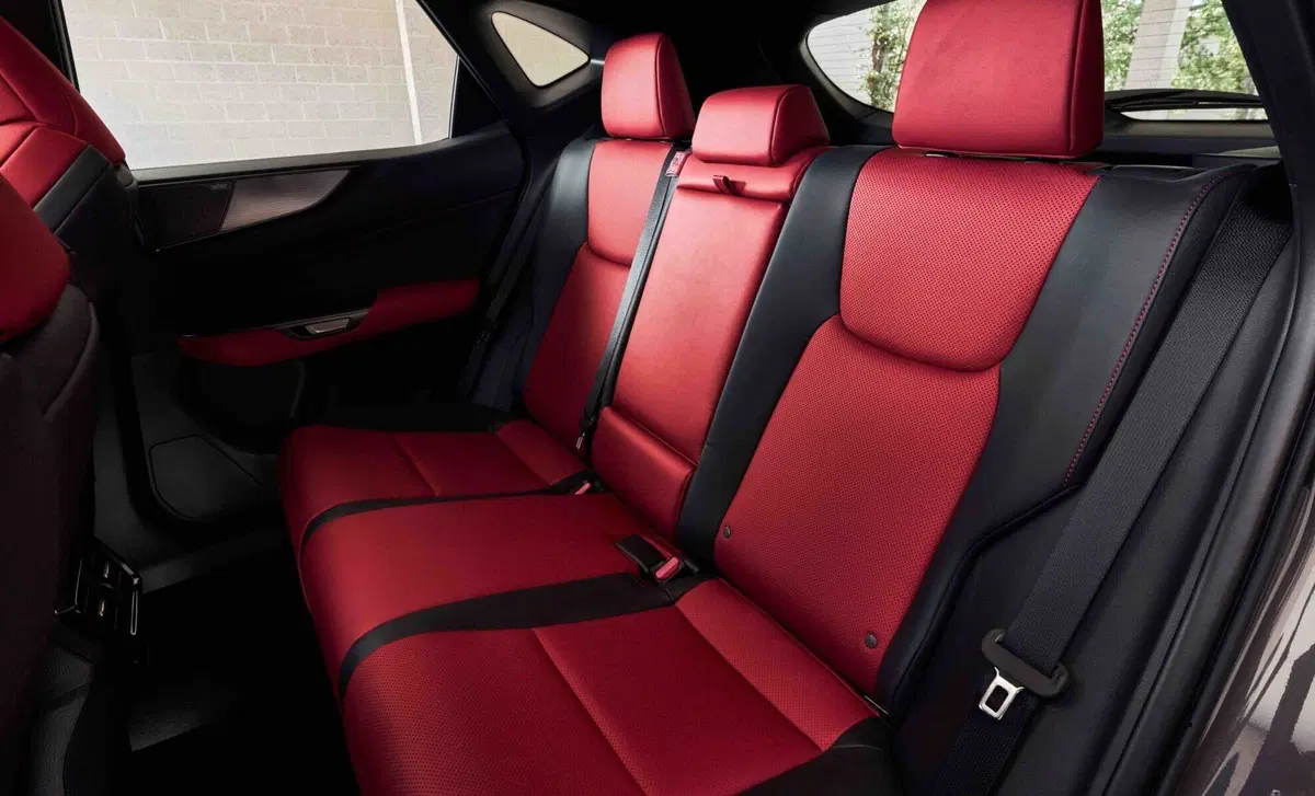 Lexus NX (2021-->>) (15)