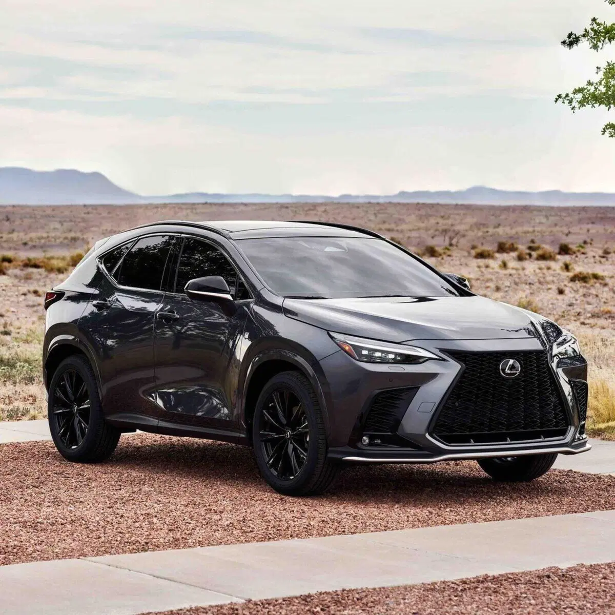 Lexus NX (2021-->>)