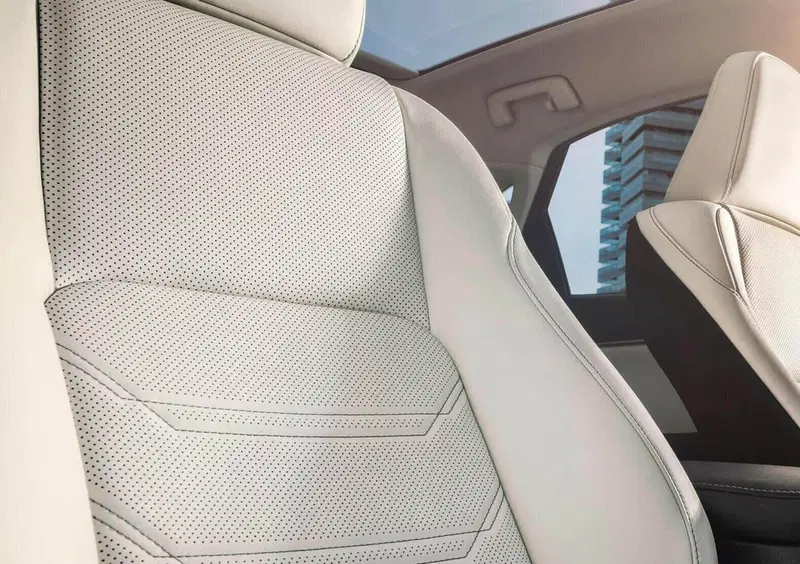Lexus NX (2021-->>) (14)