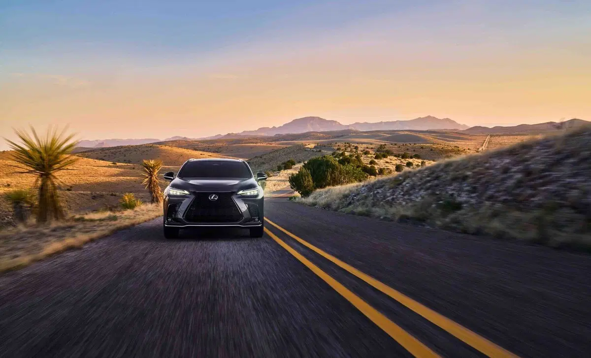 Lexus NX (2021-->>) (9)