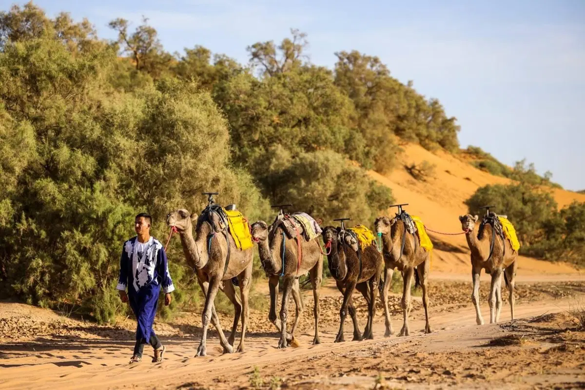 Rally del Marocco. Prove Generali di Dakar (22)