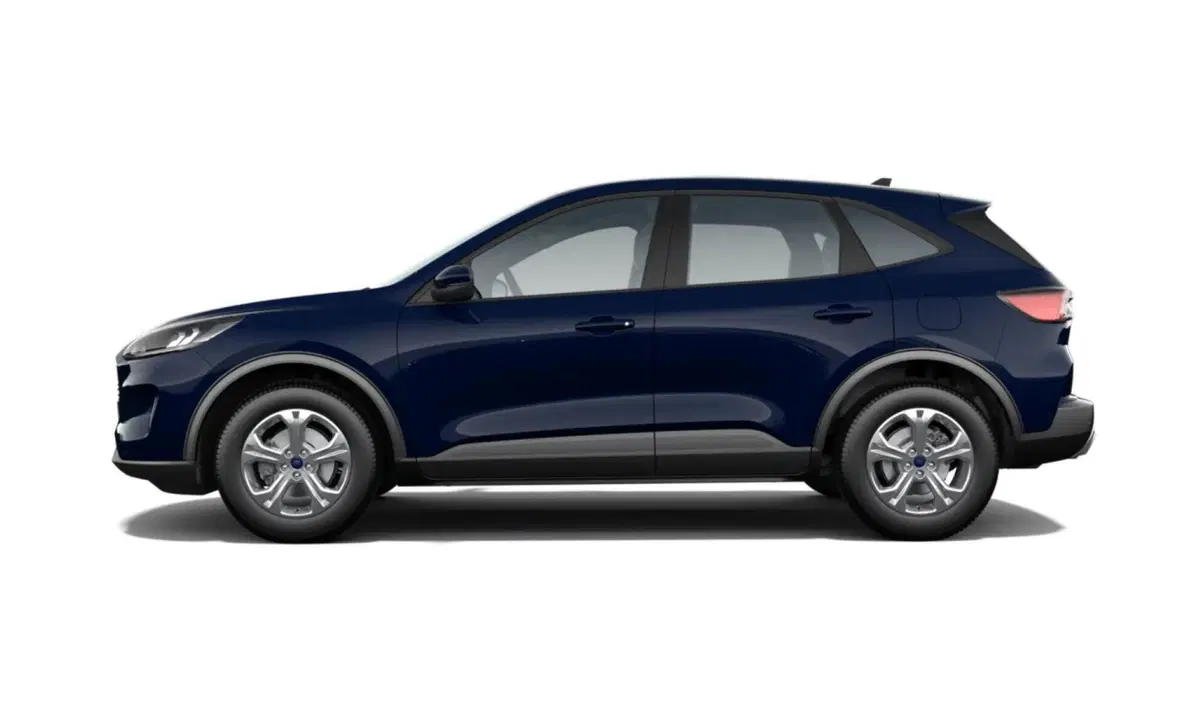 Ford Kuga 2.0 EcoBlue 190 CV aut. AWD ST-Line X (17)