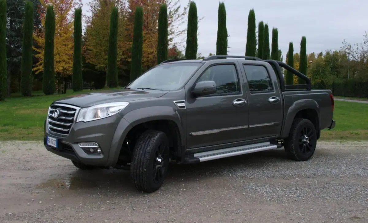 Great Wall Steed Pick-up (10)