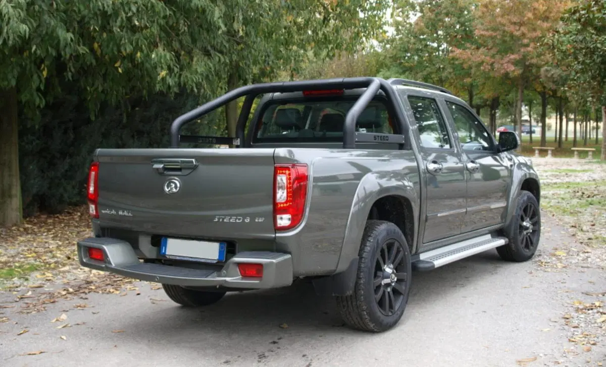 Great Wall Steed Pick-up (4)