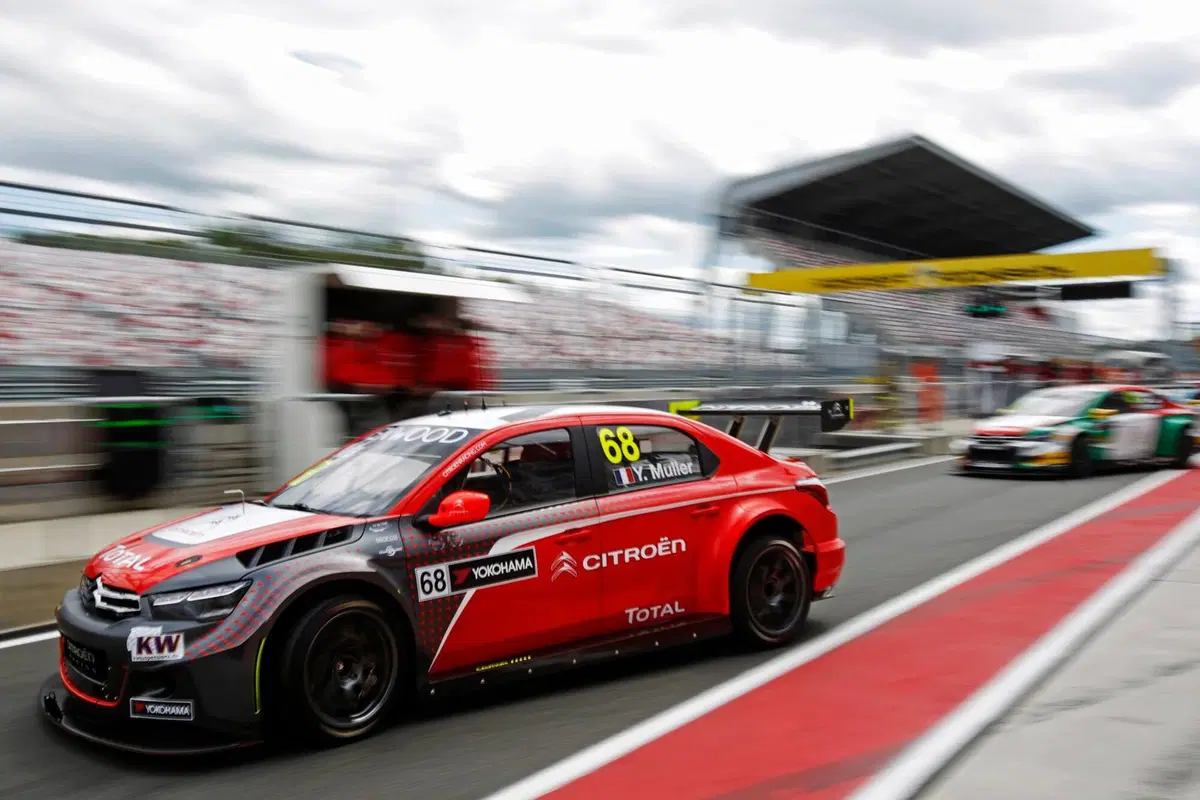 WTCC 2016, qualifiche Russia:  (6)