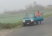 Cacciatore ferma la Fiat Panda in mezzo alla strada, Per sparare