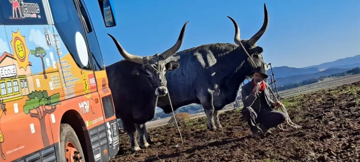 MaremmaDakar. Tesorobus Collaudato per Rust2Dakar (18)