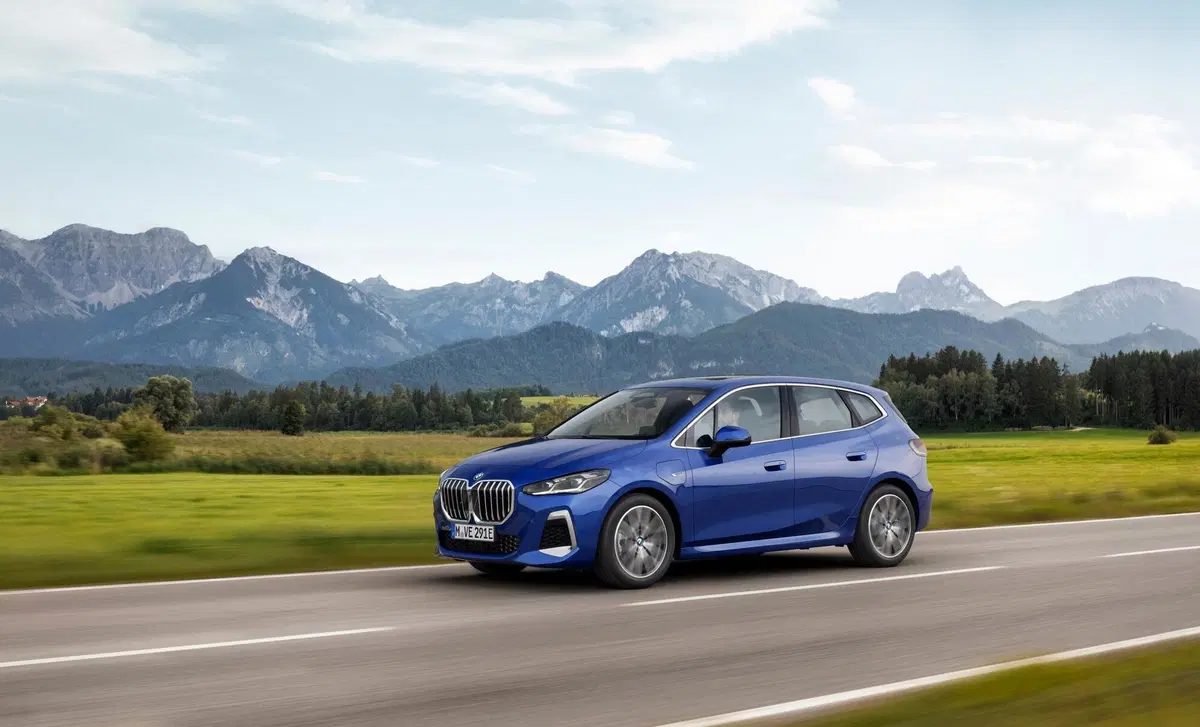 BMW Serie 2 Active Tourer 220d xDrive  Advantage aut. (9)