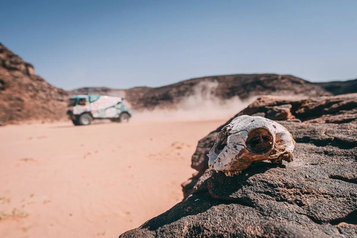 Dakar 2022. Dakar Stra-Ordinaria! Sunderland e Al Attyah alla sbarra (12)