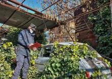 Cimitero delle auto in Emilia, a Gualtieri: 22 auto abbandonate da anni scoperte dai forestali