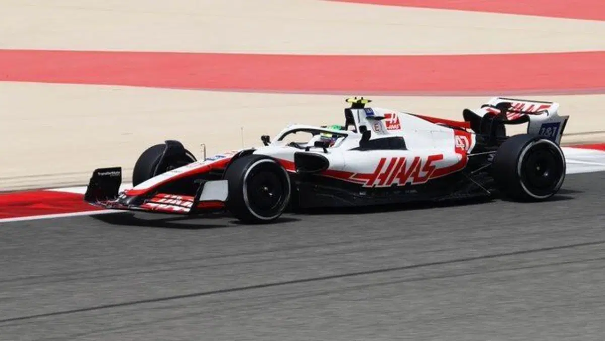 F1, GP Bahrain 2022, FP3: Verstappen al top (15)