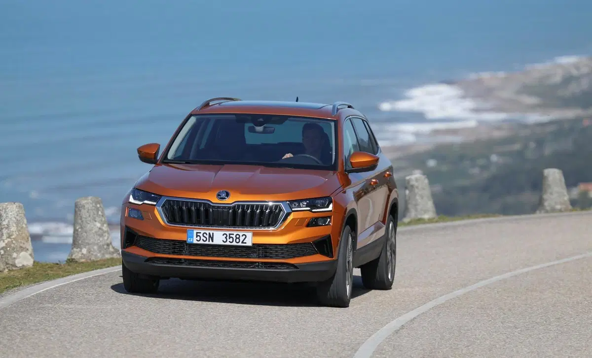Skoda Karoq 2.0 tdi Sportline 115cv (3)