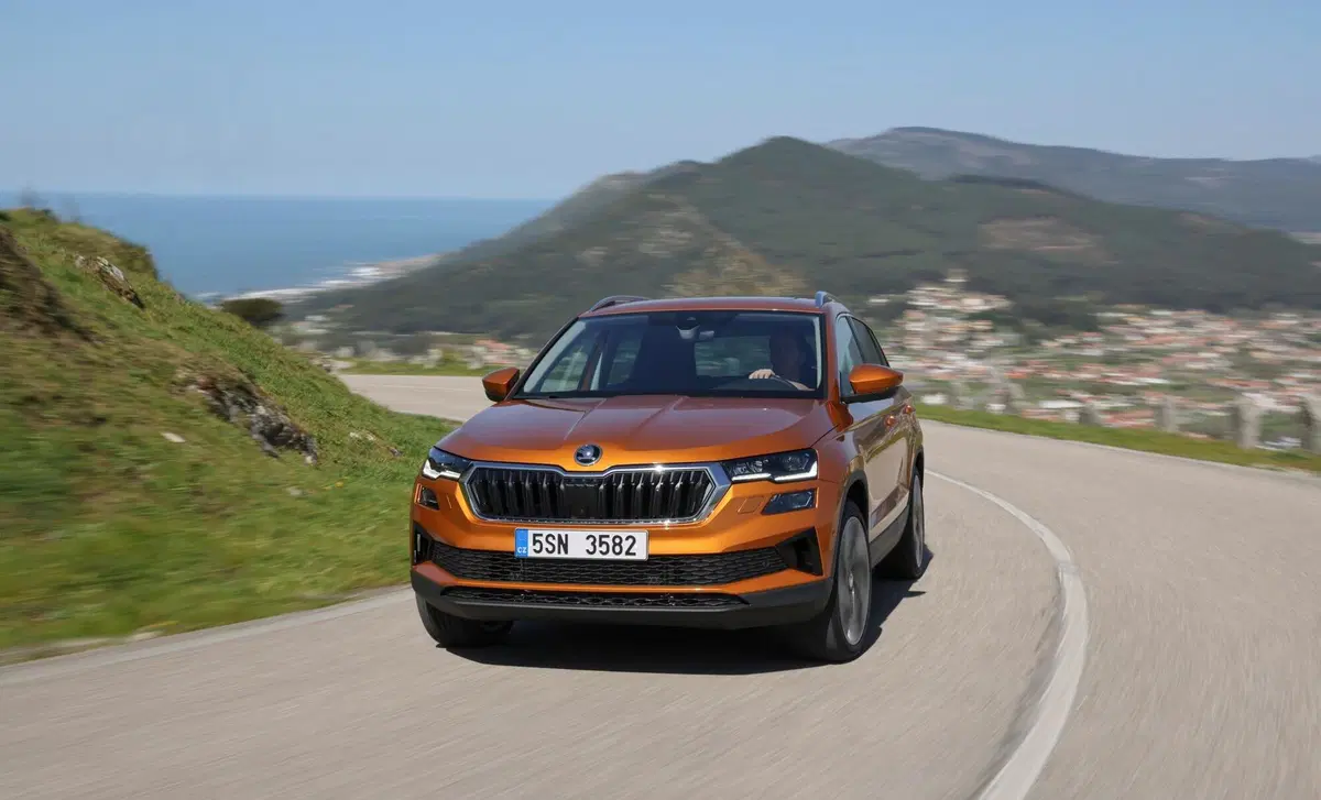 Skoda Karoq 2.0 tdi Sportline 115cv (25)