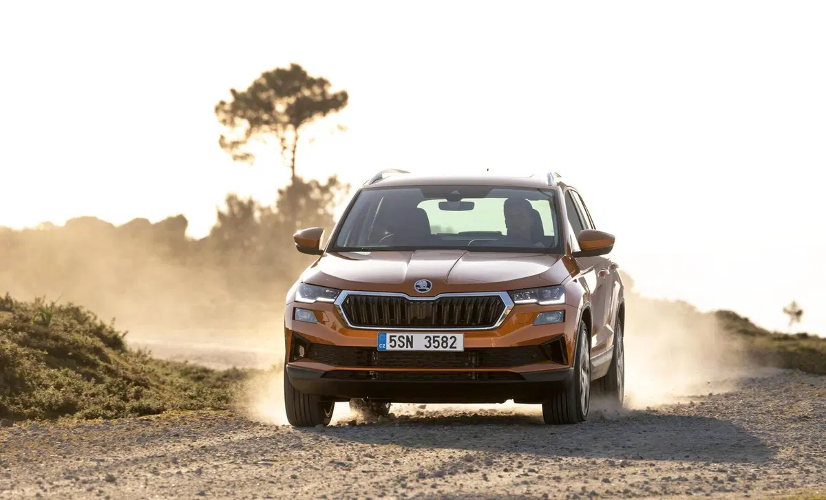 Skoda Karoq 2.0 tdi Sportline 115cv (24)