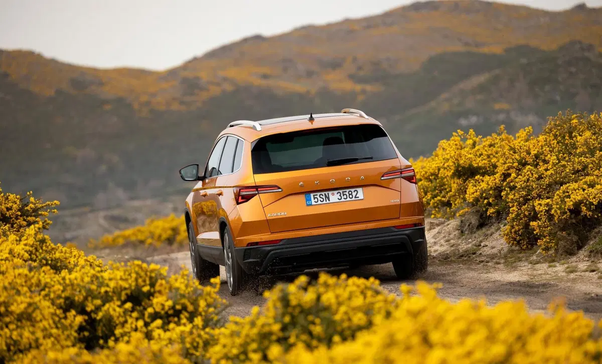 Skoda Karoq 2.0 tdi Sportline 115cv (23)