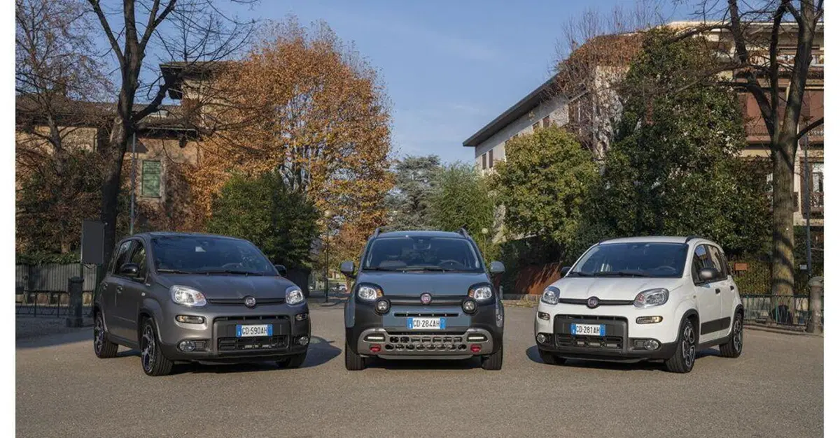 Oggi mi compro una... Fiat PANDA! La guida totale all'acquisto: storia, segreti, consigli e prove