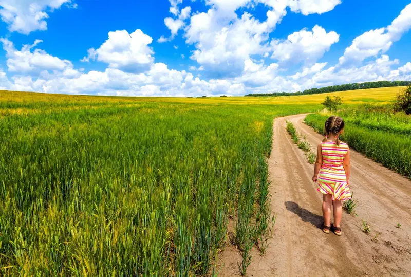 L'Italia importa pi&ugrave; del 40% del grano duro dall'estero