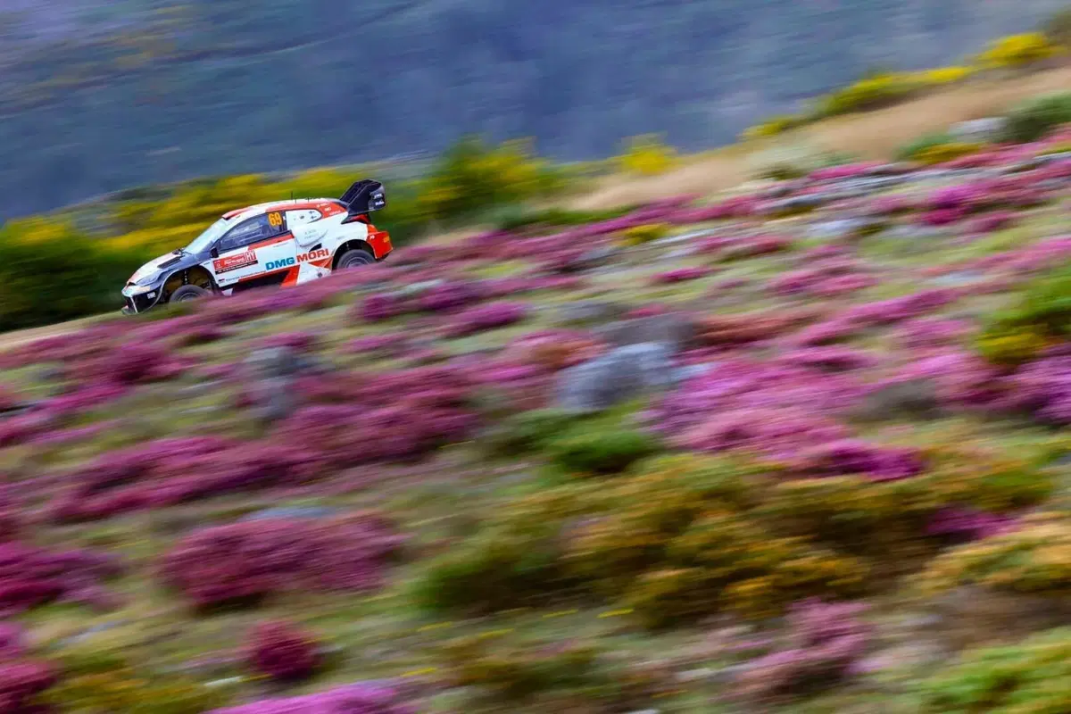 WRC22. Portogallo. Rovanpera Intrattabile. Già suo il 4° Mondiale Consecutivo di Toyota? (12)