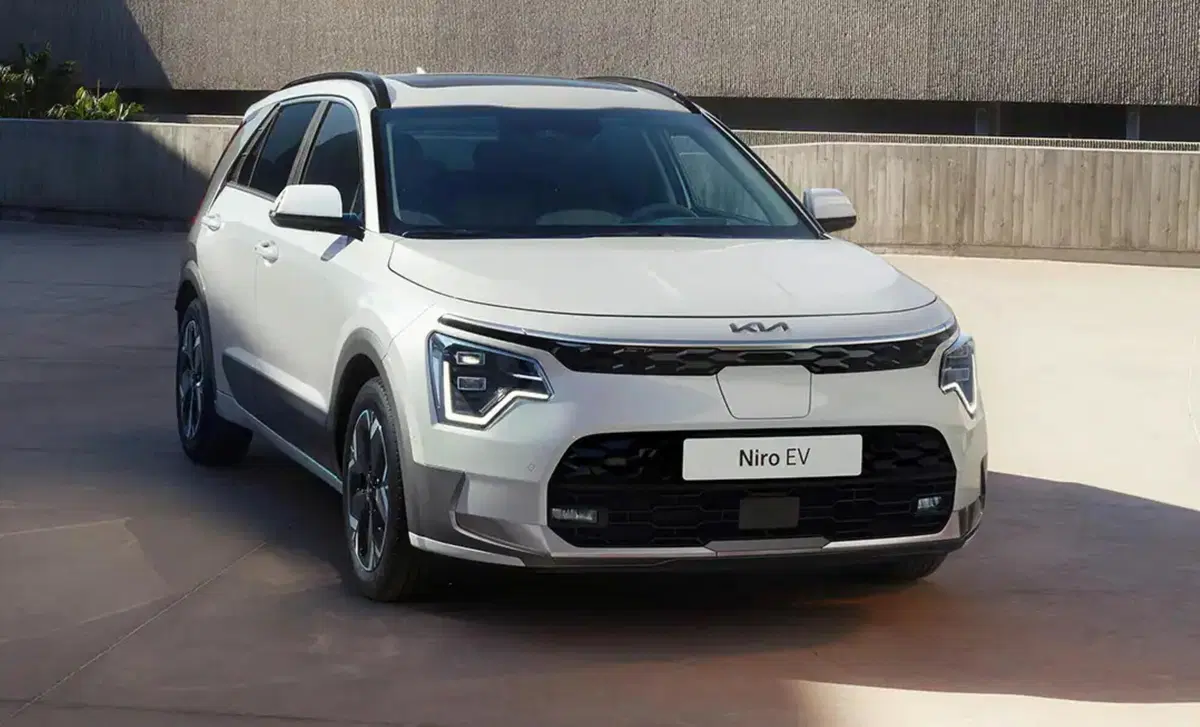 Kia e-Niro 64,8 kWh Evolution (9)