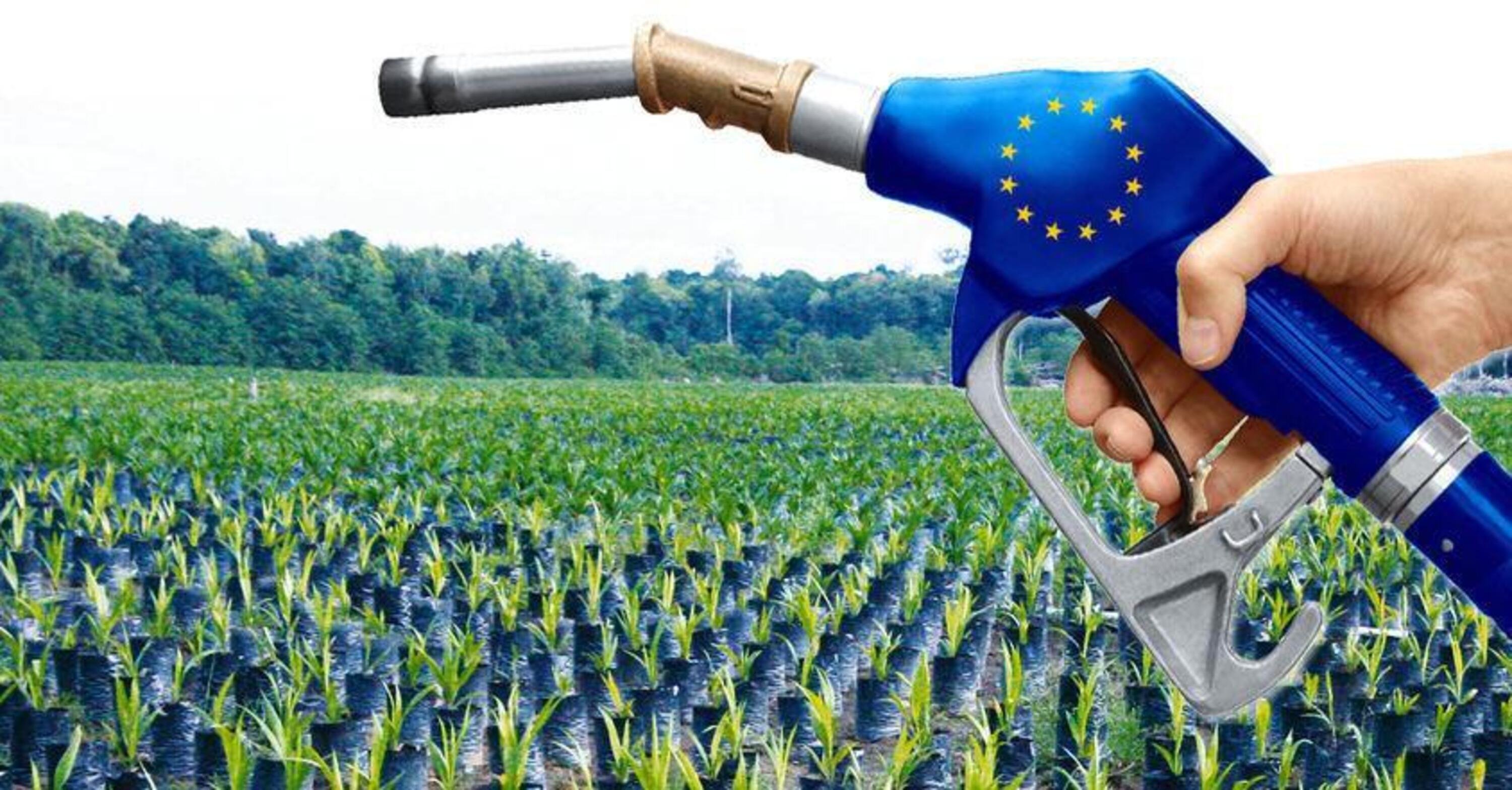 Biocarburanti, si o no? Allarme britannico con proposta all&#039;UE di stopparne la produzione [per crisi alimentare]