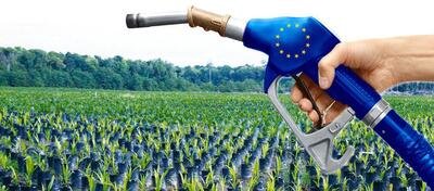 Biocarburanti, si o no? Allarme britannico con proposta all'UE di stopparne la produzione [per crisi alimentare]