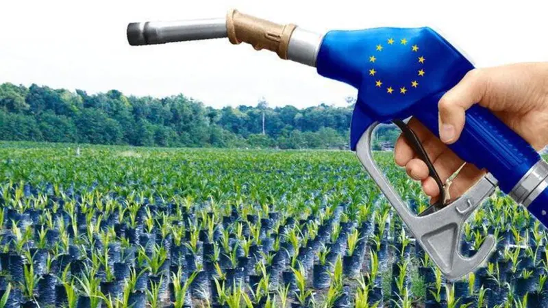 Biocarburanti, si o no? Allarme britannico con proposta all'UE di stopparne la produzione [per crisi alimentare]