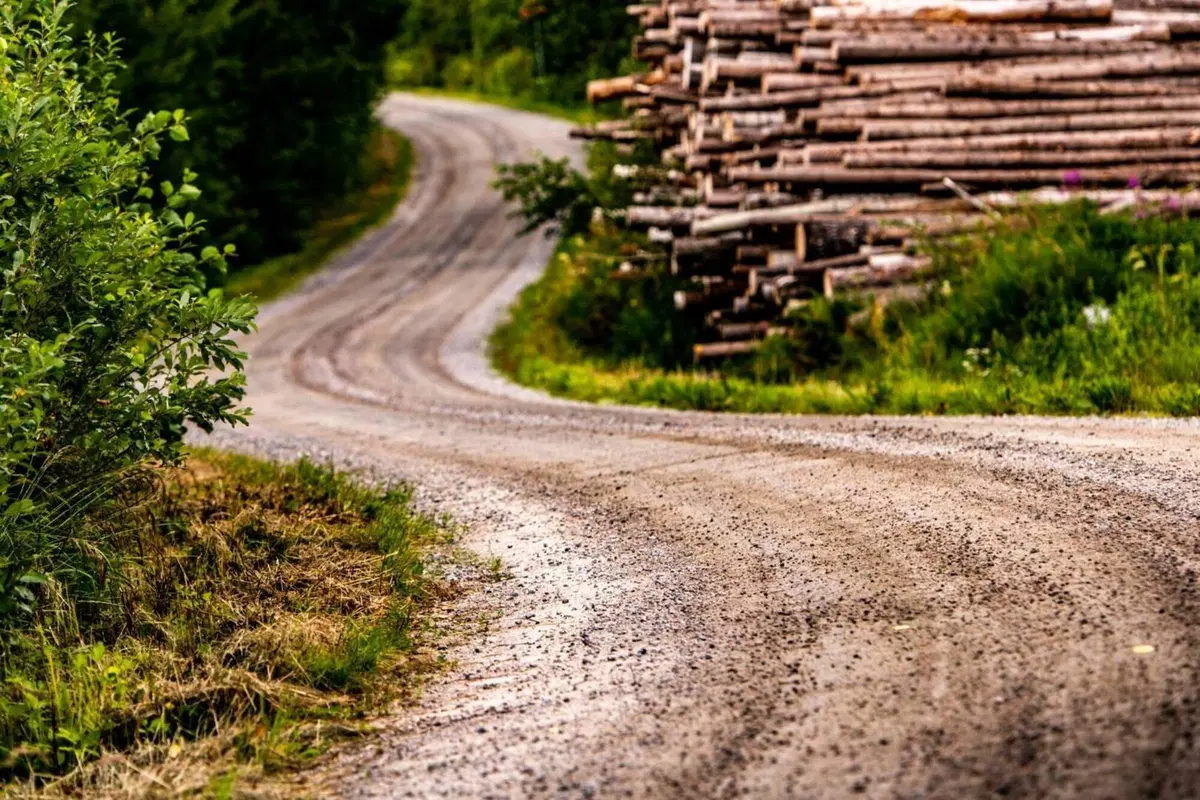 WRC22. Rally Finlandia. Tanak Fortissimo e Commovente, Hyundai Un Passo Avanti (17)