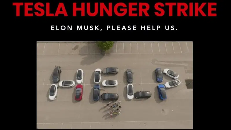 Tesla:scontenti dell'assistenza, iniziano uno sciopero della fame