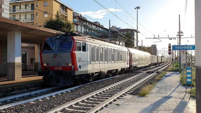 Lince, Orso, Gatto: come si portano sui treni questi "animali" [VIDEO]