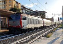 Lince, Orso, Gatto: come si portano sui treni questi animali [VIDEO]