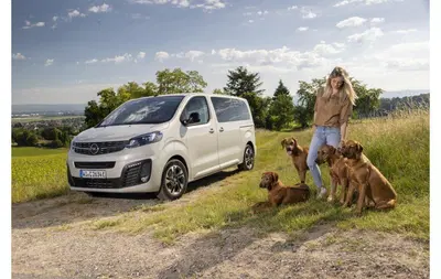 Ecco l'Opel a prova di cane!