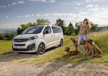Ecco l'Opel a prova di cane!