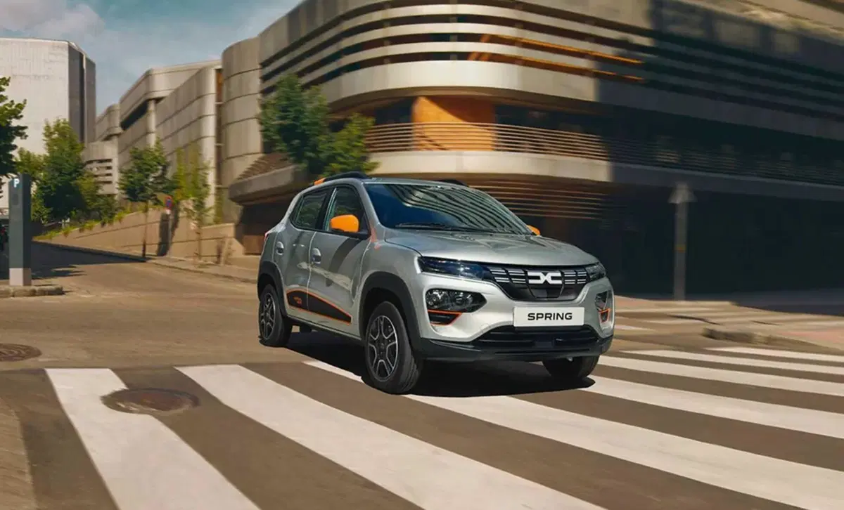 Dacia Spring Business Electric 45 (30)