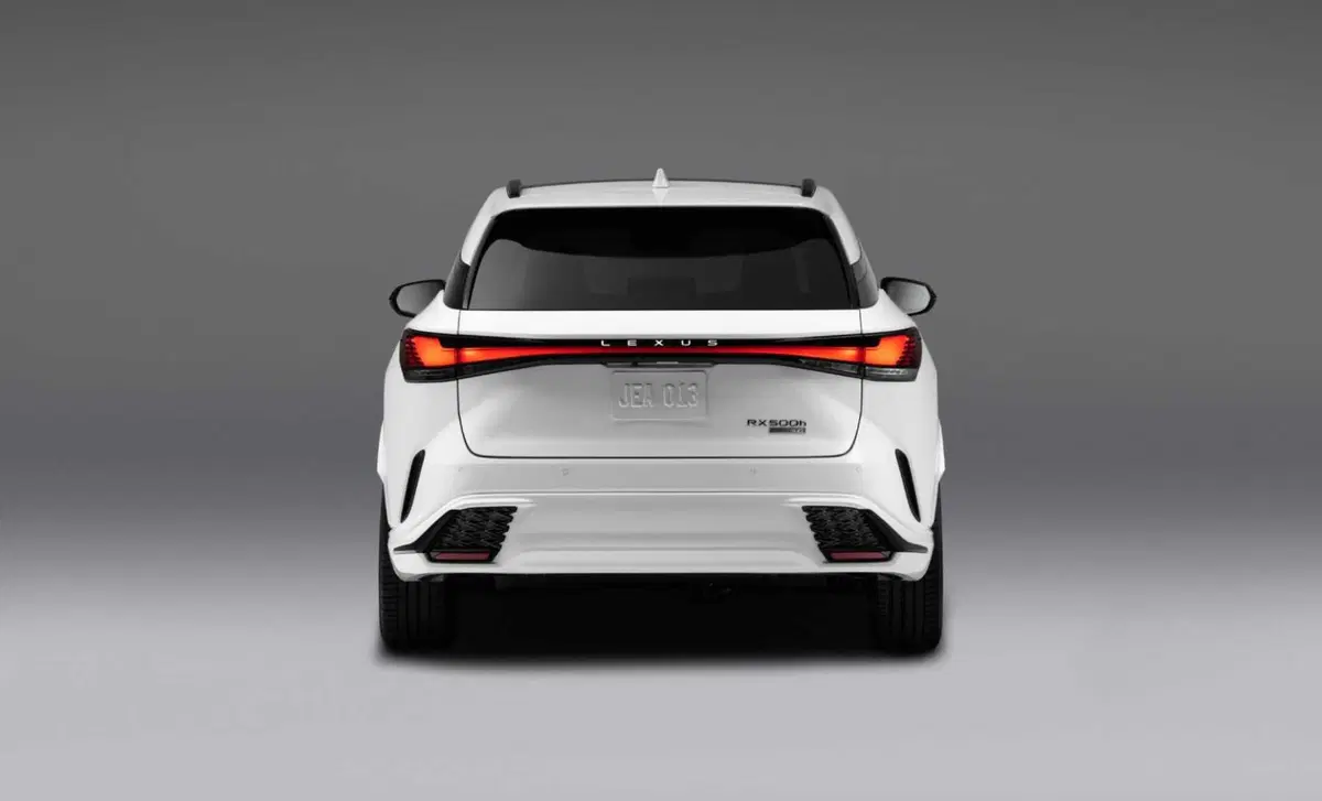 Lexus RX (2022-->>) (4)