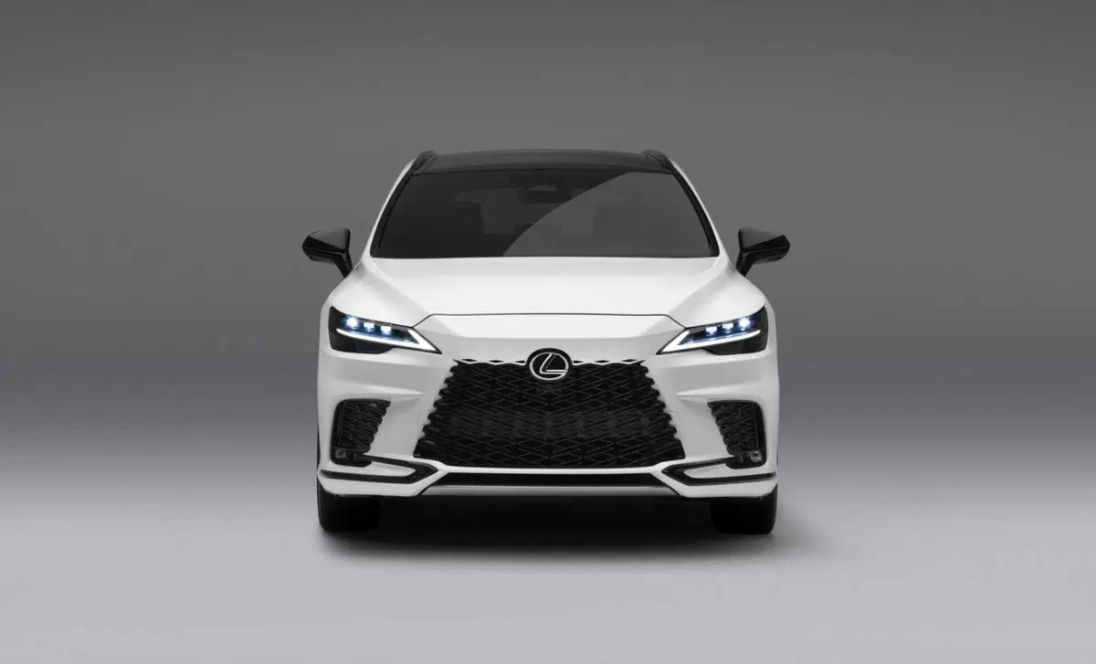 Lexus RX (2022-->>) (5)
