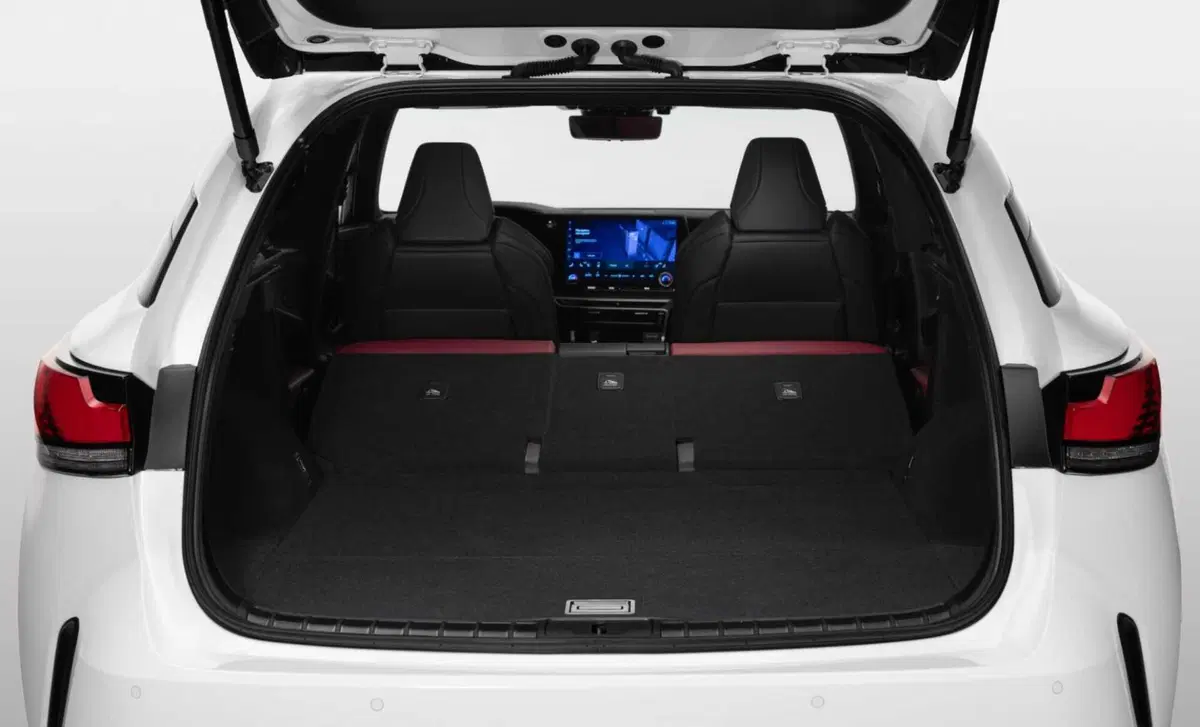 Lexus RX (2022-->>) (12)