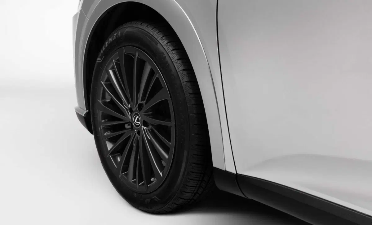 Lexus RX (2022-->>) (16)