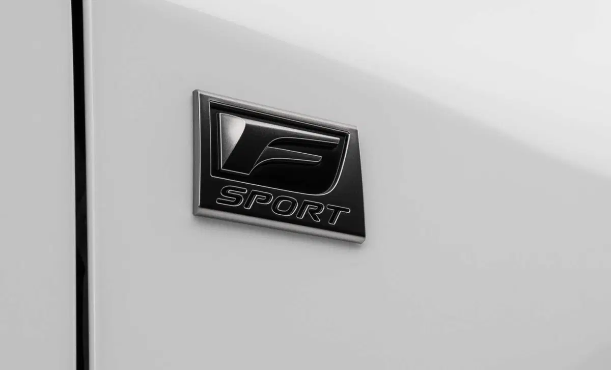 Lexus RX (2022-->>) (20)