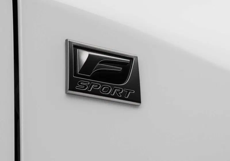 Lexus RX (20)