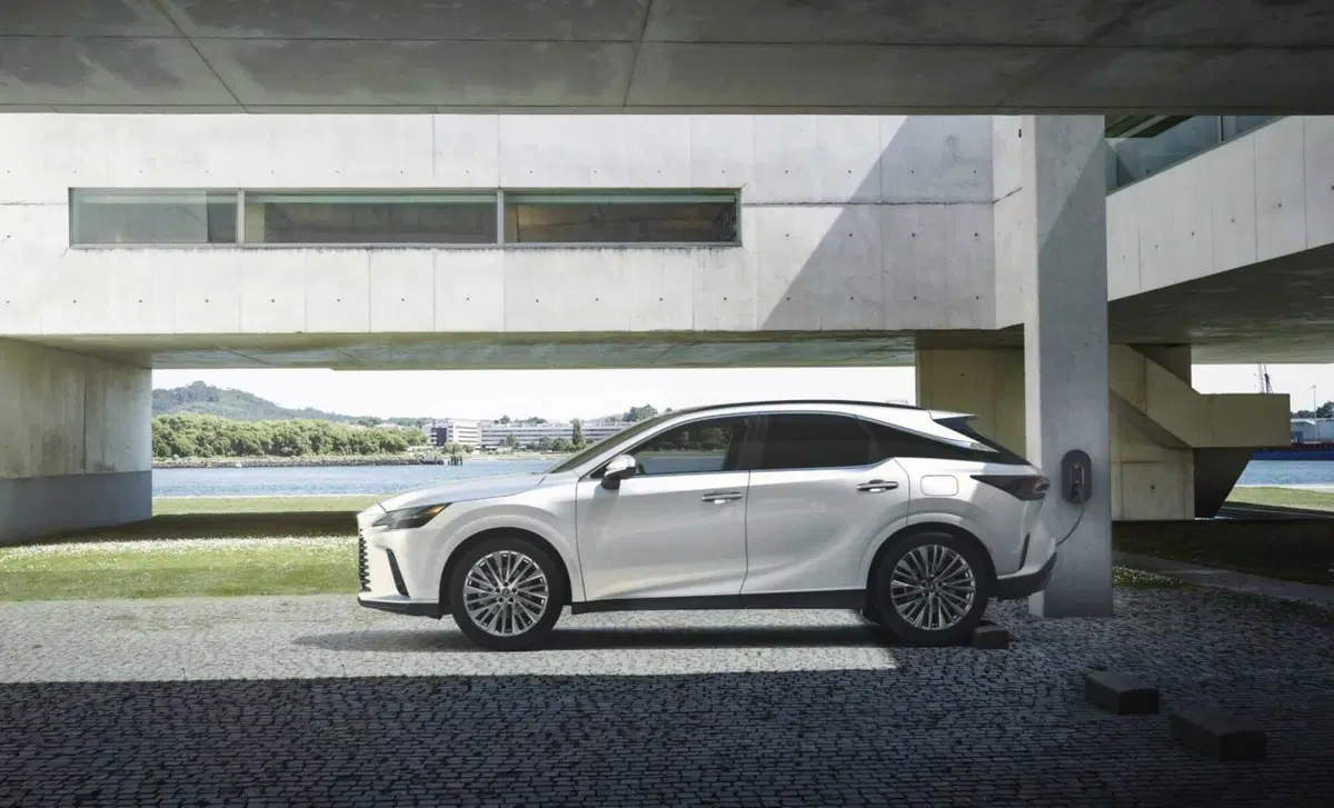 Lexus RX (2022-->>) (6)