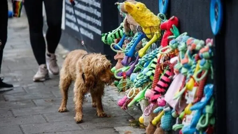Skoda a Londra &egrave; preoccupata per i cani nella notte dei fuochi d'artificio