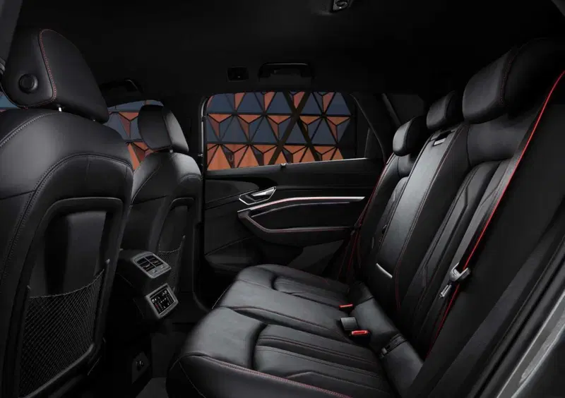 Audi Q8 (2022-25) (11)