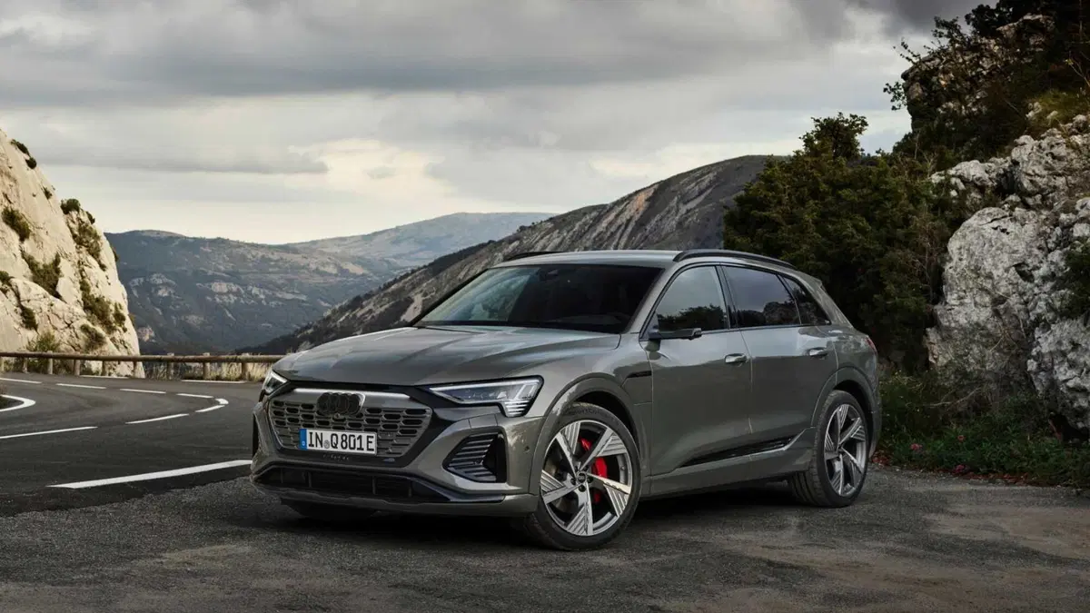Audi Q8 (2022-25) (2)