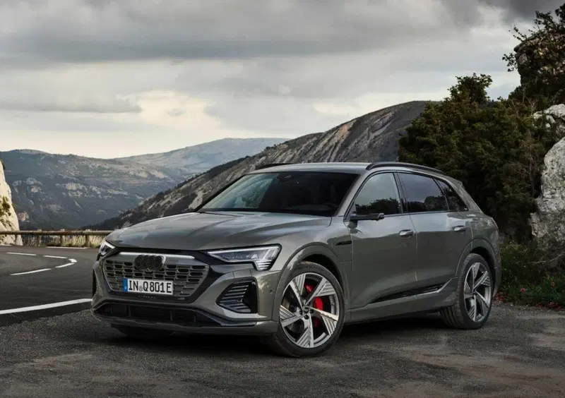 Audi Q8 (2022-25) (2)