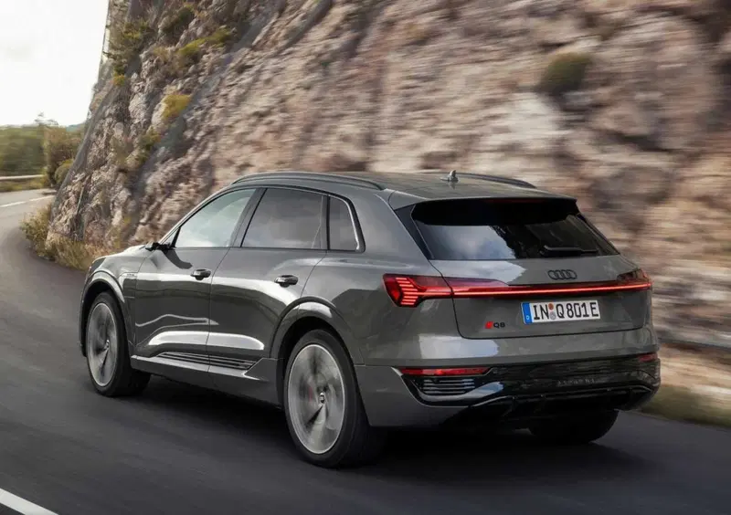 Audi Q8 (2022-25) (3)