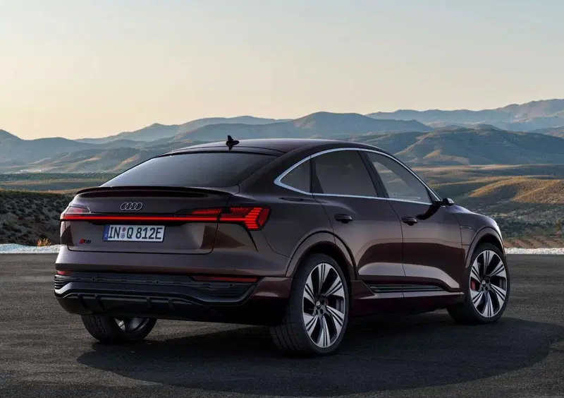 Audi Q8 Sportback (2022-25) (3)