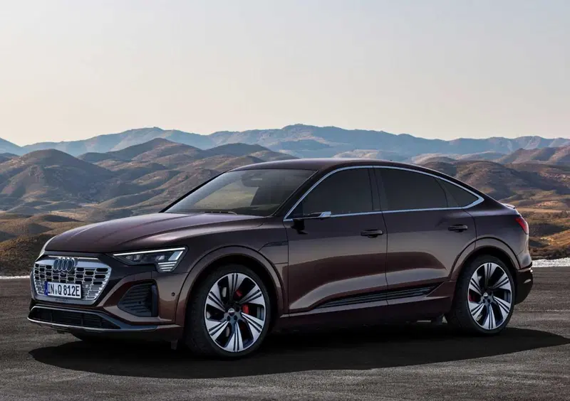 Audi Q8 Sportback (2022-25) (2)