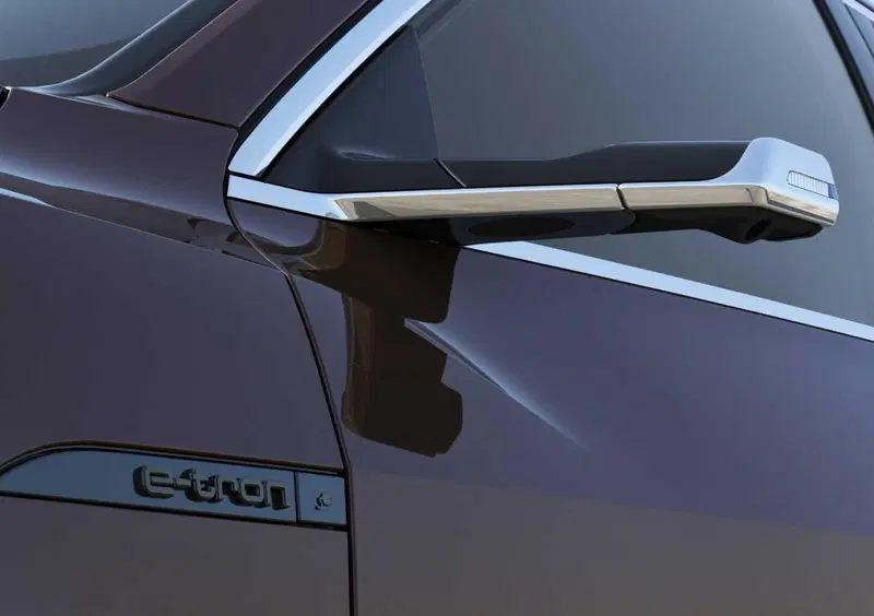 Audi Q8 Sportback (2022-25) (17)