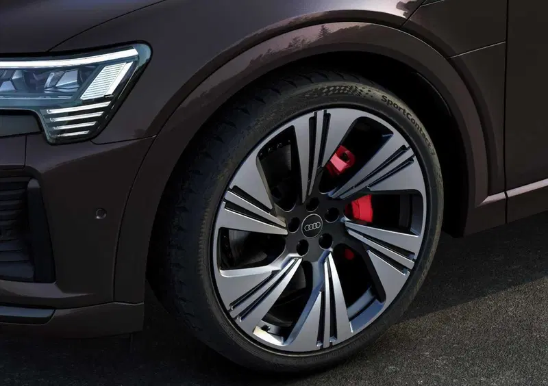 Audi Q8 Sportback (2022-25) (13)