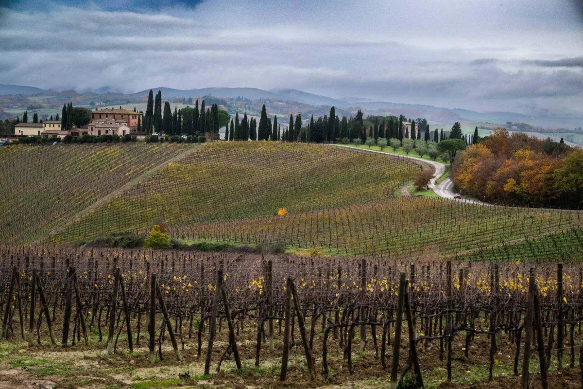Rally. Brunello d’Annata. Vincono Andreucci e Battistolli “Bis” (5)